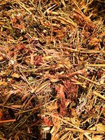 Organic Bio Herbs-Organic Dried St. John’s Worth (Hypericum Perforatum) 2 Oz.