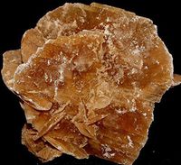 Desert Rose Gypsum Selenite Family Crystal DES1810