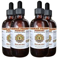 Figwort (Scrophulara Nodosa) Liquid Extract 4x4 oz