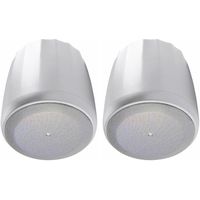 JBL C60PS/T-WH Hanging Pendant Subwoofer with Passive Crossover, White (sold as pair)