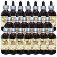 White Fungus (Tremella Fuciformis) Tincture, Organic Dried Mushrooms Liquid Extract (Brand Name: HerbalTerra, Proudly Made in USA) 20x4 fl.oz (20x120 ml)