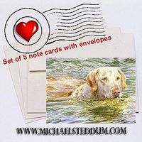 Michael Steddum Summer Swim, Chesapeake Bay Retriever Note Card Set