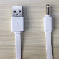 aiyabrush USB Charging Cable