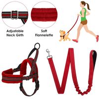 SlowTon No Pull Small Dog Harness and Leash, Heavy Duty Easy For Walk Vest Harness Soft Padded Reflective Adjustable Puppy Harness Anti-Twist 4FT Pet Lead Quick Fit for Small Dog Cat Animal (xxs, Red)