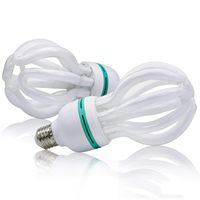 Julius Studio (2PCS Set) 50W Photo Studio Lighting Bulb for Video, Photography Softbox, 5500Kelvin Temperature, JSAG319