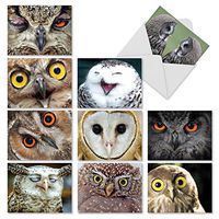10 Owl Themed Note Cards with Envelopes (4” x 5 ¼”), Boxed Set of Assorted Blank Greeting Cards, ‘What a Hoot’ All Occasion Stationery for Birthdays, Thank Yous, Holidays #M1769BN