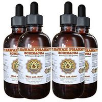 Echinacea Liquid Extract, Organic Echinacea (Echinacea Purpurea) Tincture 4x4 oz