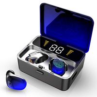 Wireless Earbuds, IPX7 Bluetooth 5.0 Headphones with Mic 3D Stereo, 100H Playtime in-Ear, 2000mAh Charging Case LED Battery Display, Touch-Control, True Wireless Earbuds for iOS Android