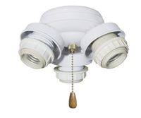 Emerson Ceiling Fans F330BS 3-Light Turtle Fitter in Brushed Steel