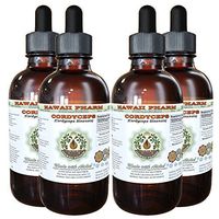 Cordyceps Alcohol-Free Liquid Extract, Cordyceps (Cordyceps Sinensis) Mushroom Glycerite Herbal Supplement 4x4 oz