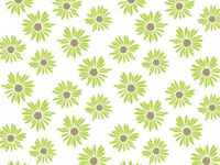 Green Painted Daisies Daisy Flowers Tissue Paper Gift Wrapping 20"x30" Sheets - 10ct