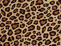 Pack Of 200, Animal Print Leopard Kraft Tissue Paper 20" X 30" Sheets Tissue Prints Made In USA