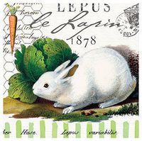 Michel Design Works 20-Count 3-Ply Paper Cocktail Napkins, Bunnies