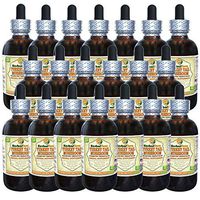 Turkey Tail Mushroom (Trametes Versicolor) Tincture, Dried Mushroom Liquid Extract (Brand Name: HerbalTerra, Proudly Made in USA) 20x4 fl.oz (20x120 ml)