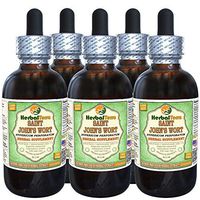 Saint John's Wort (Hypericum Perforatum) Glycerite, Organic Dried Herb Alcohol-Free Liquid Extract (Brand Name: HerbalTerra, Proudly Made in USA) 5x2 fl.oz (5x60 ml)