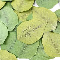 Leaf Memo Pads Sticky Cute Paper Notes