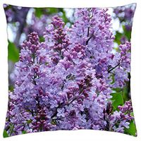 Phonak Large Open domes