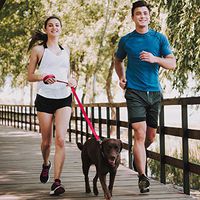 Vaxxen Labs Ketogenic Creamer – Includes Grass-Fed Butter, MCT Oil, Collagen Peptides, and Coconut Oil – Add to Your Favorite Beverages – Salted Caramel Flavor – 30 Servings