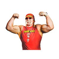 Hulk Hogan Wwe OriginalStickers0381 Set Of Two (2x) Stickers , Laptop , Ipad , Car , Truck , Size 4 inches on Longer Side