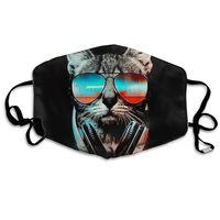 Cool Cats Dust Mask,Washable and Reusable Cleaning Gardening Outdoor Activities Warm Windproof Mask