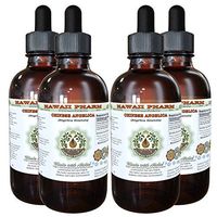 Dong Quai Alcohol-Free Liquid Extract, Organic Chinese Angelica (Angelica sinensis) Dried Root Glycerite Hawaii Pharm Natural Herbal Supplement 4x4 oz