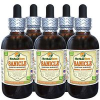 Sanicle (Sanicula Europaea) Tincture, Dried Herb Liquid Extract (Brand Name: HerbalTerra, Proudly Made in USA) 5x2 fl.oz (5x60 ml)