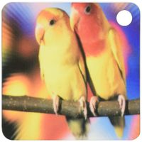 3dRose Tropical Love Birds - Key Chains, 2.25 x 4.5 inches, set of 2 (kc_80757_1)