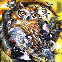 Meidexian888 DIY Diamond Painting, 5D Embroidery Paintings Rhinestone Pasted DIY Diamond Painting Cross Stitch 30x40CM (G)