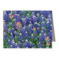 Note Card Texas Bluebonnets