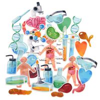 Waterproof Science Stickers for Kids, Watercolor Science Class Scrapbooking Stickers for School,Teacher, Human Anatomy Stickers for Laptop, Water Bottles,Planner, Journal-36 Pieces