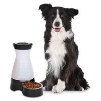 PetSafe Healthy Pet Gravity Dog and Cat Food Station, Stainless Steel Bowl, Holds 4 lbs of Dry Dog or Cat Food, Medium