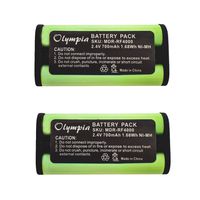 2 Pack Replacement Battery for Sony MDR-RF4000 Headphone (700mAh, 2.4V, Ni-MH)