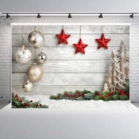 Hemker Portable Print Christmas Style Collapsible Photography Background For Shooting Party Games & Activities