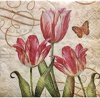 Creative Converting Cocktail Beverage Napkins - Royal Tulips 36 ct