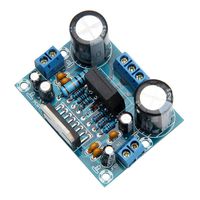 Zripool TDA7293 Digital Audio Amplifier Mono Single Channel AMP Board AC 12V-32V 100W