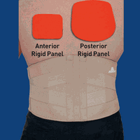 Thermoskin AP Rigid Lumbar Support, Beige, Small