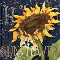Evergreen Set of 2,Luncheon Size Napkin, 6.5"x6.5", Pack of 20, Metallic Sunflower Splendor