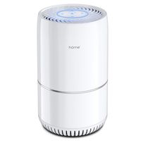 hOmeLabs Air Purifier for Home, Bedroom or Office - True HEPA H13 Filter to Remove Allergens Such as Mold, Dust, Dander - Pet Smell and Smoke Odor Eliminator - Night Light and Child Lock Function