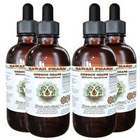 Oregon Grape Alcohol-Free Liquid Extract, Oregon Grape (Mahonia aquifolium) Dried Root Glycerite Natural Herbal Supplement, Hawaii Pharm, USA 4x4 fl.oz