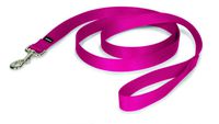 PetSafe Leash, 3/4" x 6', Medium, Raspberry Pink