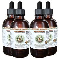 Motherwort Alcohol-Free Liquid Extract, Motherwort (Leonurus Cardiaca) Dried Herb Glycerite Herbal Supplement 4x4 oz