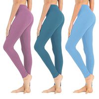 High Waisted Leggings for Women - Soft Athletic Tummy Control Pants for Running Cycling Yoga Workout - Reg & Plus Size (3 Pack Cade Blue, Light Sky Blue, Thistle, Plus Size (US 12-24))