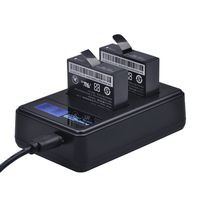 PowerTrust 2-Pack AZ16-1 Replacement Battery and LCD Dual USB Charger for XiaoYi 4K 2 Action Camera