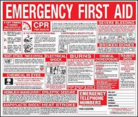 First Aid Wall Chart 22x26