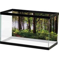 bybyhome Pictures Underwater Backdrop Forest,Pathway in a Shady Forest of Bushes and Thick Trunks Grass Unique Wild Life Scenery,Green Brown Children Party Photo Studio Props