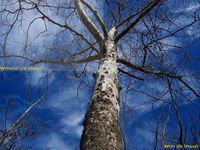 UV (Haze) 1A Multicoated | Multithreaded Glass Filter (52mm) For Samsung NX30