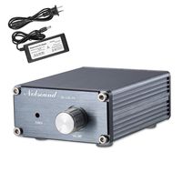 Nobsound 100W Full Frequency Mono Channel Digital Power Amplifier Audio Mini Amp Home Speaker with Power Supply (Gray)