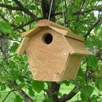 Songbird Essentials SE546 Carolina Wren House All Purpose (Set of 1)