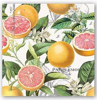 Michel Design Works 20-Count 3-Ply Paper Cocktail Napkins, Pink Grapefruit