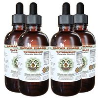 Watermelon Alcohol-Free Liquid Extract, Watermelon (Cucurbita Citrullus) Dried Seed Glycerite Herbal Supplement 4x4 oz